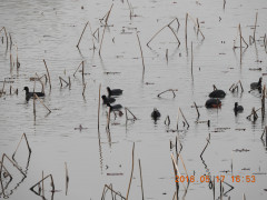 DSCN5792.JPG