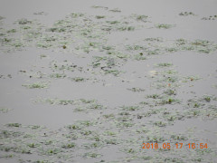 DSCN5796.JPG
