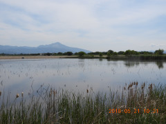 DSCN5812.JPG
