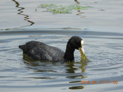 DSCN5828.JPG