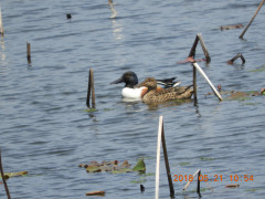 DSCN5821.JPG