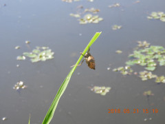 DSCN5913.JPG