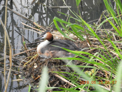 DSCN5932.JPG