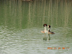 DSCN5944.JPG