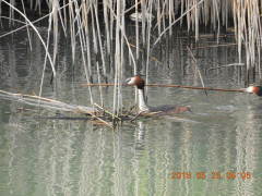 DSCN5938.JPG