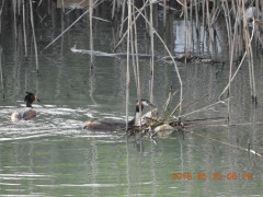 DSCN5946.JPG