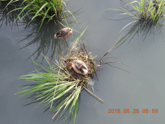DSCN5936.JPG