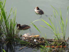 DSCN5940.JPG