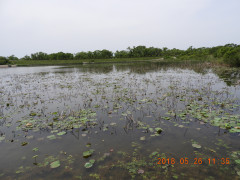 DSCN5983.JPG