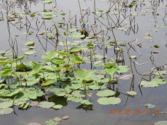 DSCN5982.JPG
