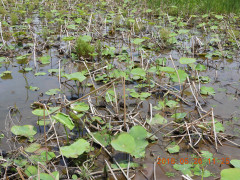DSCN5970.JPG