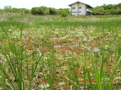 DSCN5969.JPG