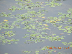 DSCN5988.JPG