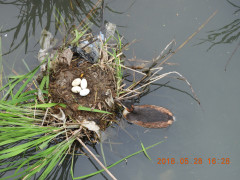 DSCN6046.JPG