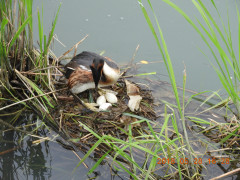 DSCN6048.JPG