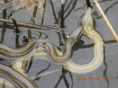 DSCN5999.JPG
