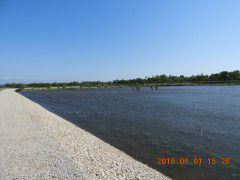 DSCN6128.JPG