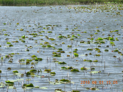 DSCN6124.JPG