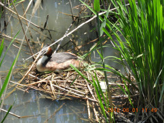 DSCN6097.JPG
