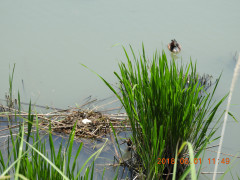 DSCN6098.JPG