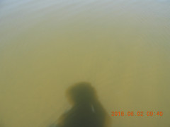 DSCN6137.JPG