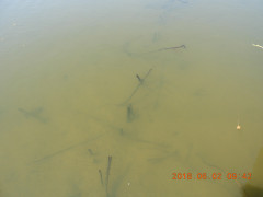 DSCN6141.JPG