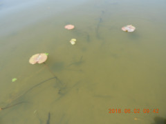 DSCN6142.JPG