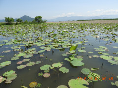 DSCN6144.JPG
