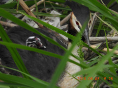 DSCN6163.JPG