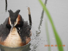 DSCN6185.JPG