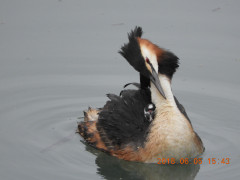 DSCN6181.JPG
