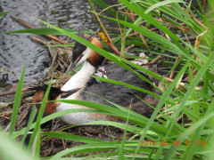 DSCN6223.JPG