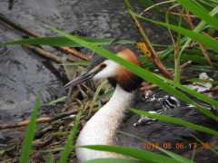 DSCN6240.JPG