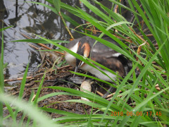 DSCN6249.JPG