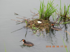 DSCN6244.JPG