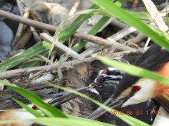 DSCN6353.JPG