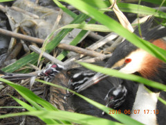 DSCN6372.JPG