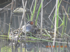 DSCN6317.JPG