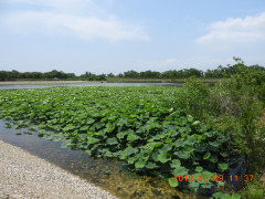DSCN6511.JPG