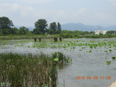 DSCN6512.JPG