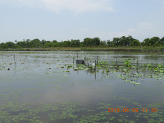DSCN6510.JPG