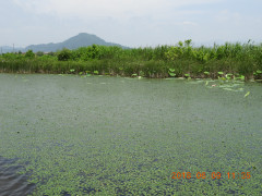 DSCN6509.JPG