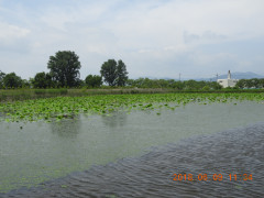 DSCN6508.JPG