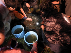 DSCN9927.JPG