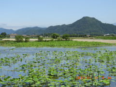DSCN9967.JPG