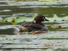 DSCN9971.JPG