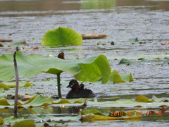 DSCN9991.JPG