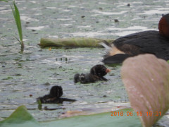 DSCN0093.JPG