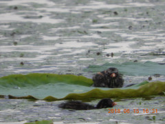 DSCN0095.JPG