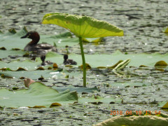 DSCN0261.JPG